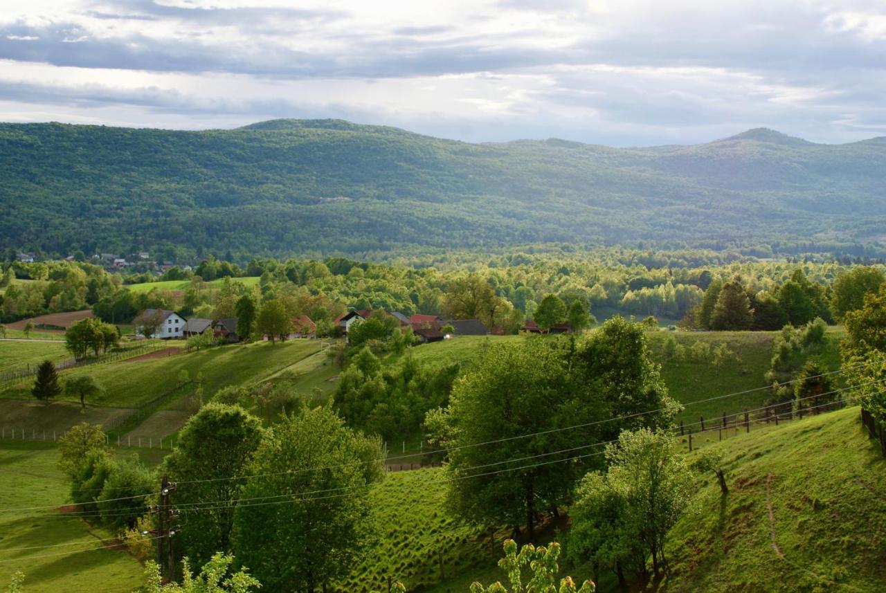 Frankovic Bed&Breakfast Vinica Exteriér fotografie